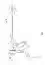 Fig. 02 - Jaw assemblies for electrosurgical instruments and methods of manufacturing jaw assemblies