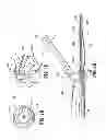 Fig. 03 - Bipolar forceps having monopolar extension