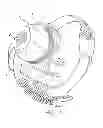 Fig. 02 - Method and system for providing stimulation inputs to a visual prosthesis implant