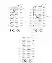 Fig. 10 - Neurostimulation programmer and method for directly assigning parameter values to electrodes