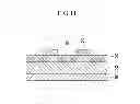 Fig. 12 - Nerve electrode provided with anti-inflammatory drug and method of manufacturing the same