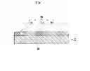 Fig. 13 - Nerve electrode provided with anti-inflammatory drug and method of manufacturing the same