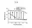 Fig. 19 - Nerve electrode provided with anti-inflammatory drug and method of manufacturing the same
