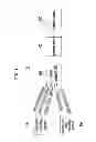 Fig. 02 - System and Method for Controlling Hydraulic Pressure of Damper Clutch