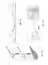 Fig. 03 - Methods for robotic self-righting