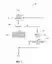 Fig. 07 - Automated language detection for domain names