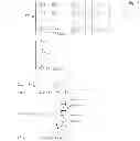 Fig. 04 - Apparatus and method for coding and decoding multi object audio signal with multi channel