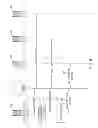Fig. 07 - MEDICAL ANALYSIS APPLICATION AND RESPONSE SYSTEM