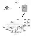 Fig. 02 - Pass-Through Entities Visualization