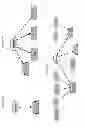 Fig. 05 - Pass-Through Entities Visualization