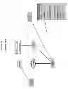 Fig. 13 - Pass-Through Entities Visualization