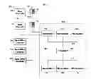 Fig. 01 - Electronic trading among principals and brokers
