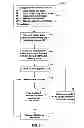 Fig. 06 - Electronic trading among principals and brokers