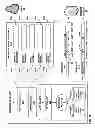 Fig. 10 - Automated encoding of field operators