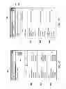 Fig. 08 - Payment Template Page Queue for a Mobile Device