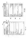 Fig. 05 - Payment Action Page Queue for a Mobile Device