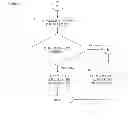 Fig. 09 - Mobile financial transaction system