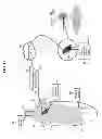 Fig. 12 - Methods, systems, and products for interfacing with neurological and biological networks