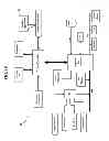 Fig. 19 - Methods, systems, and products for interfacing with neurological and biological networks