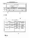 Fig. 08 - Backup management of software environments in a distributed network environment
