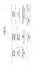 Fig. 04 - JOIN TYPE FOR OPTIMIZING DATABASE QUERIES