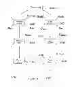 Fig. 12 - SEARCH