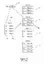 Fig. 02 - EFFICIENT HIGH PERFORMANCE SCALABLE PIPELINED SEARCHING METHOD USING VARIABLE STRIDE MULTIBIT TRIES