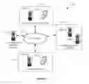Fig. 02 - USING CALENDAR EVENTS TO MODIFY NOTIFICATION AND ALERT BEHAVIOR, SYSTEM AND METHOD