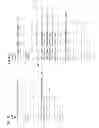 Fig. 20 - Non-transitory computer-readable recording medium having recorded browser program thereon