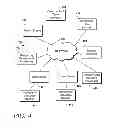 Fig. 05 - Distributed data warehouse