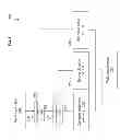 Fig. 06 - Mixed precision estimate instruction computing narrow precision result for wide precision inputs