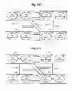 Fig. 35 - SYSTEM MANAGEMENT METHOD, AND COMPUTER SYSTEM