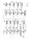 Fig. 19 - Store peripheral component interconnect (PCI) function controls instruction