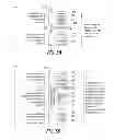 Fig. 06 - RESOURCE RECOVERY FOR CHECKPOINT-BASED HIGH-AVAILABILITY IN A VIRTUALIZED ENVIRONMENT