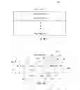 Fig. 07 - Asymmetric co-existent address translation structure formats