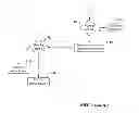 Fig. 06 - Mutual authentication schemes