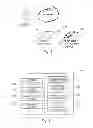 Fig. 02 - Real identity authentication