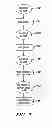 Fig. 09 - Per-rank channel marking in a memory system