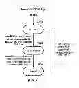 Fig. 05 - Tracing of a data processing apparatus