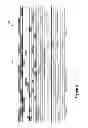 Fig. 05 - Condensing Graphical Representations of Media Clips in a Composite Display Area of a Media-Editing Application