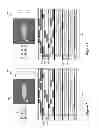Fig. 07 - Condensing Graphical Representations of Media Clips in a Composite Display Area of a Media-Editing Application