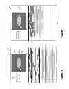 Fig. 13 - Condensing Graphical Representations of Media Clips in a Composite Display Area of a Media-Editing Application