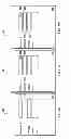 Fig. 03 - Rule-based binding