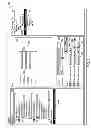 Fig. 04 - Rule-based binding