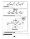 Fig. 06 - White-box testing systems and/or methods for use in connection with graphical user interfaces