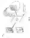 Fig. 10 - Online upgrading of a database environment using transparently-patched seed data tables