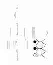 Fig. 05 - Method, system, facility, and human-machine interaction device for acquisition of audience data of digital television