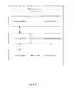 Fig. 06 - Method, system, facility, and human-machine interaction device for acquisition of audience data of digital television