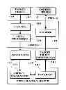 Fig. 06 - Image capture and identification system and process