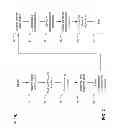 Fig. 03 - Video distribution systems and methods for multiple users